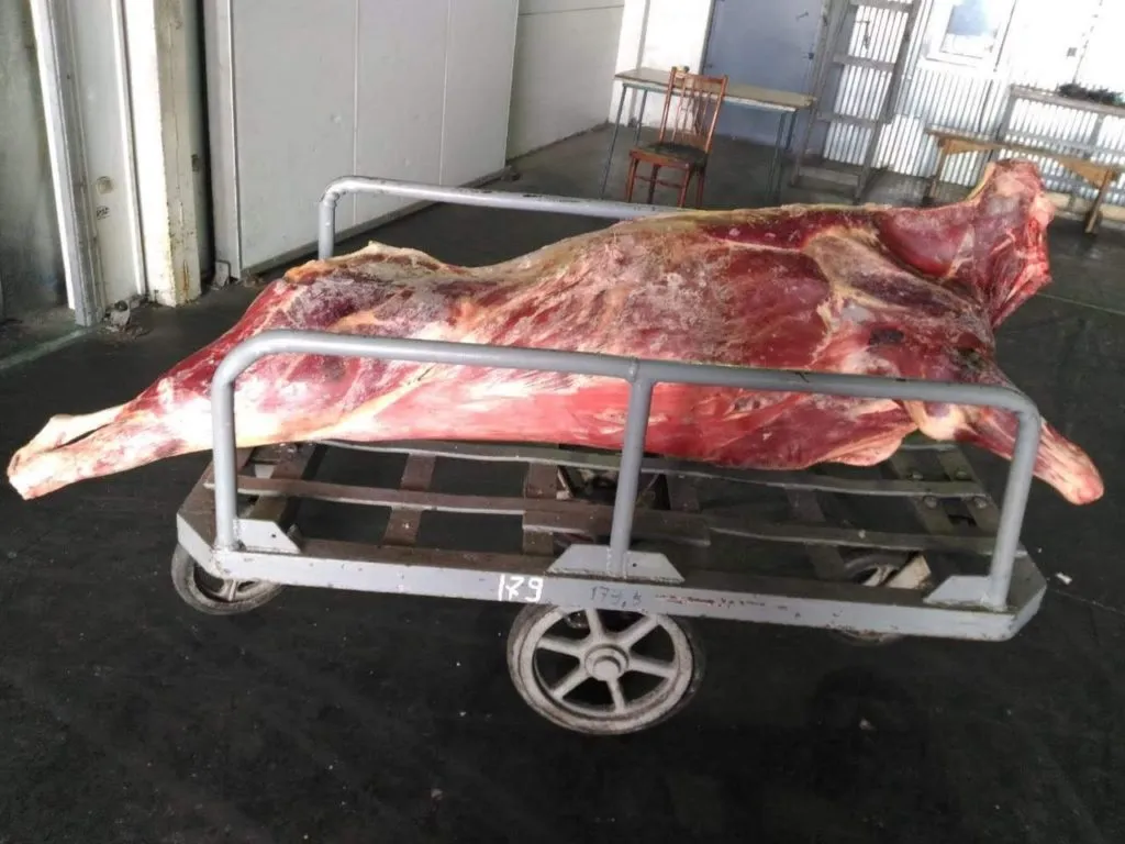 мясо говядины и свинины.  в Горно-Алтайске