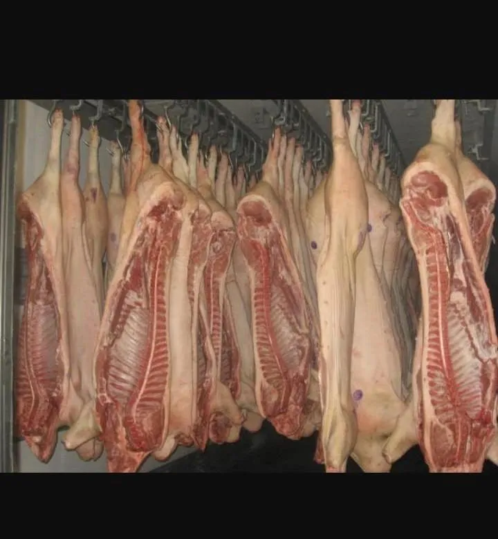 фотография продукта Мясо свинина оптом от производителя