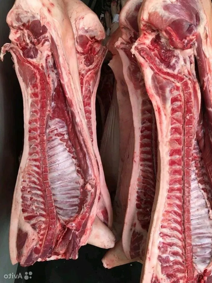 мясо свинина оптом от производителя в Горно-Алтайске 3
