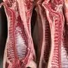 мясо свинина оптом от производителя в Горно-Алтайске 3