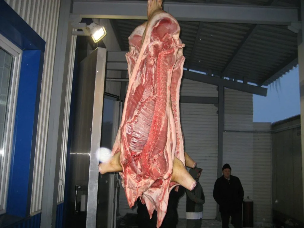 мясо свинина оптом от производителя в Горно-Алтайске 2