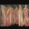 мясо свинина оптом от производителя в Горно-Алтайске